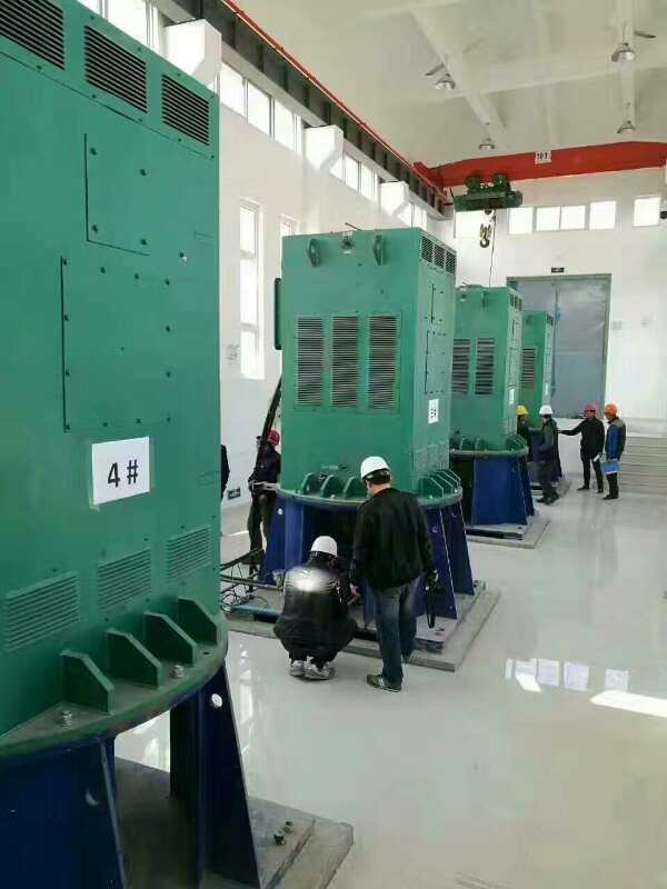 浦东某污水处理厂使用我厂的立式高压电机安装现场质量怎么样