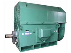 浦东Y系列6KV高压电机生产厂家